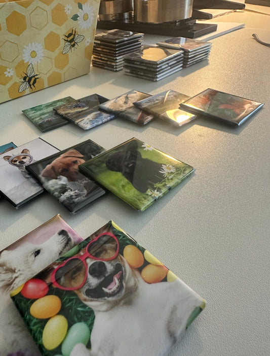 Bulk Custom Photo Drink Coasters 100 Personalized magnetsbykathi