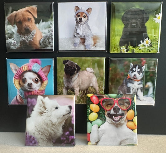 2X2 Square Custom Photo Magnets